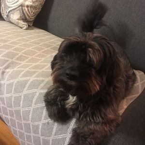 Meet your Posher, Natalie